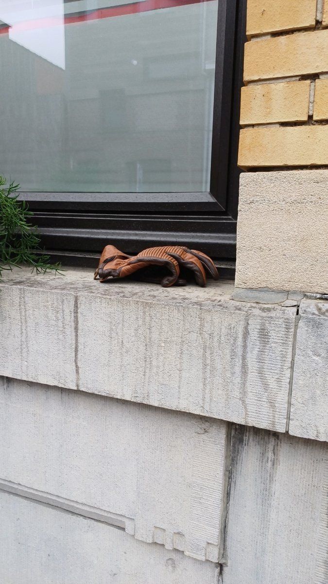 brown glove found on 27 Feb 2026