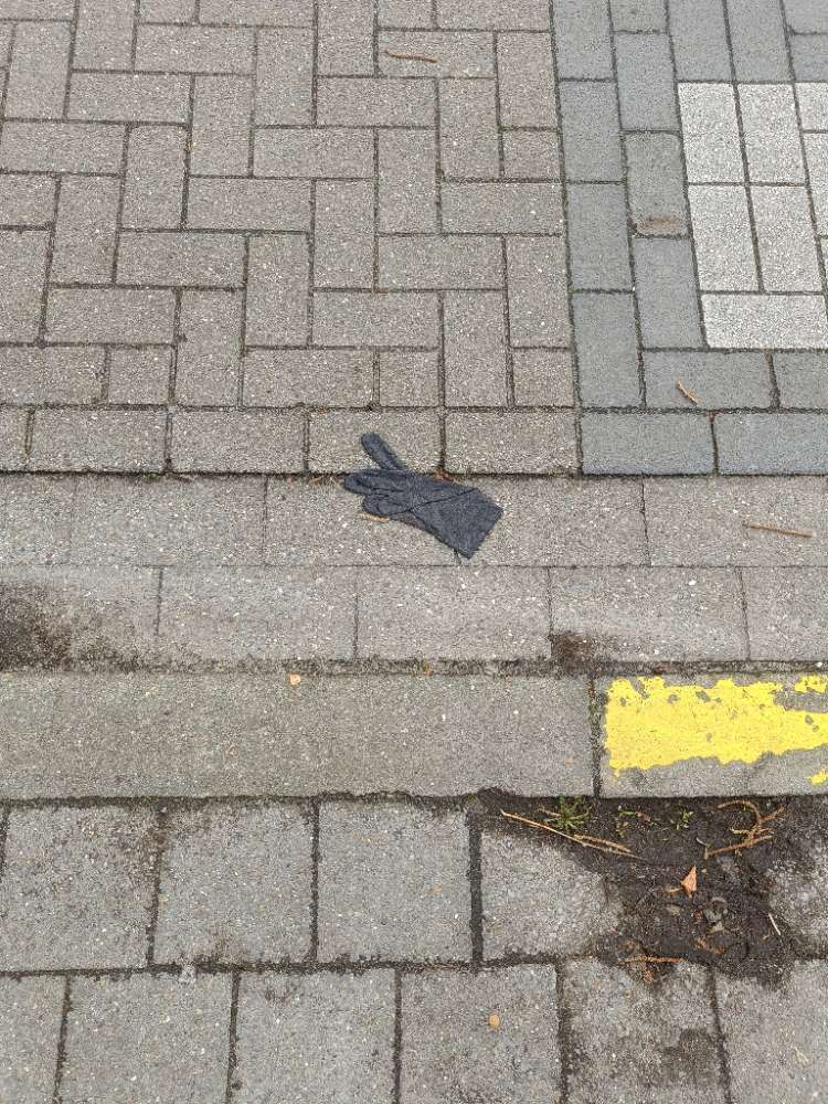 black glove found on 28 Feb 2026