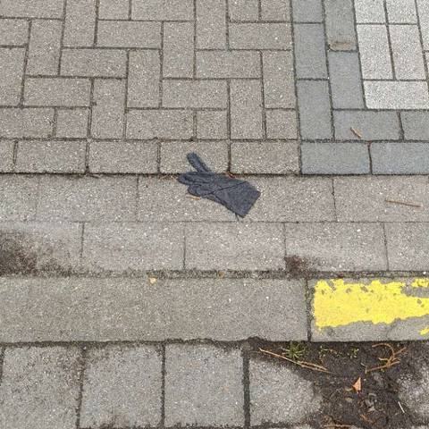 black glove found on 28 Feb 2026
