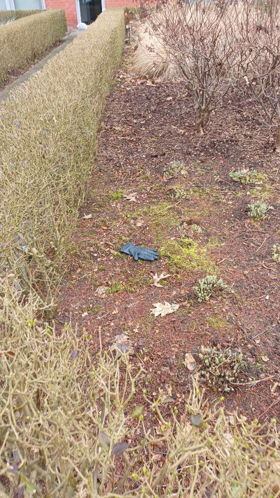black glove found on 28 Feb 2026