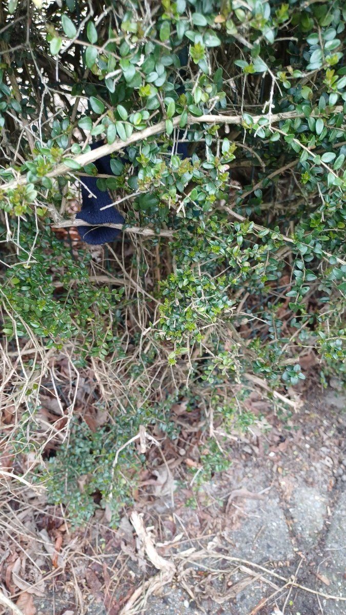 blue glove found on 28 Feb 2026