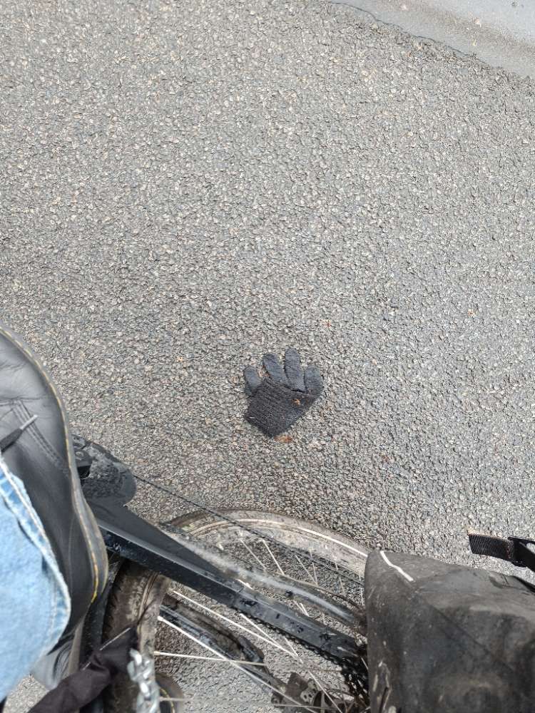 black glove found on 28 Feb 2026