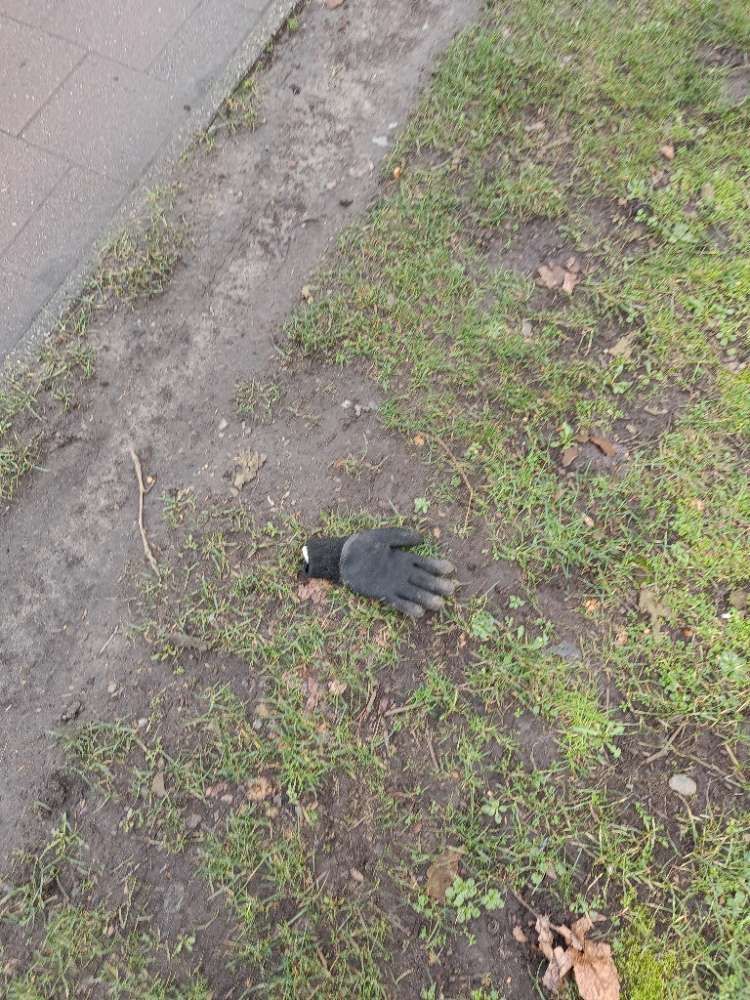 black glove found on 28 Feb 2026