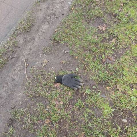black glove found on 28 Feb 2026