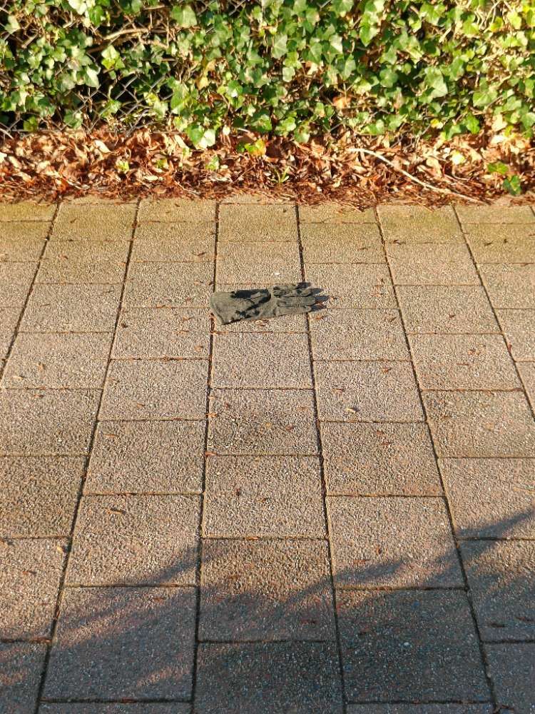black glove found on 1 Mar 2026