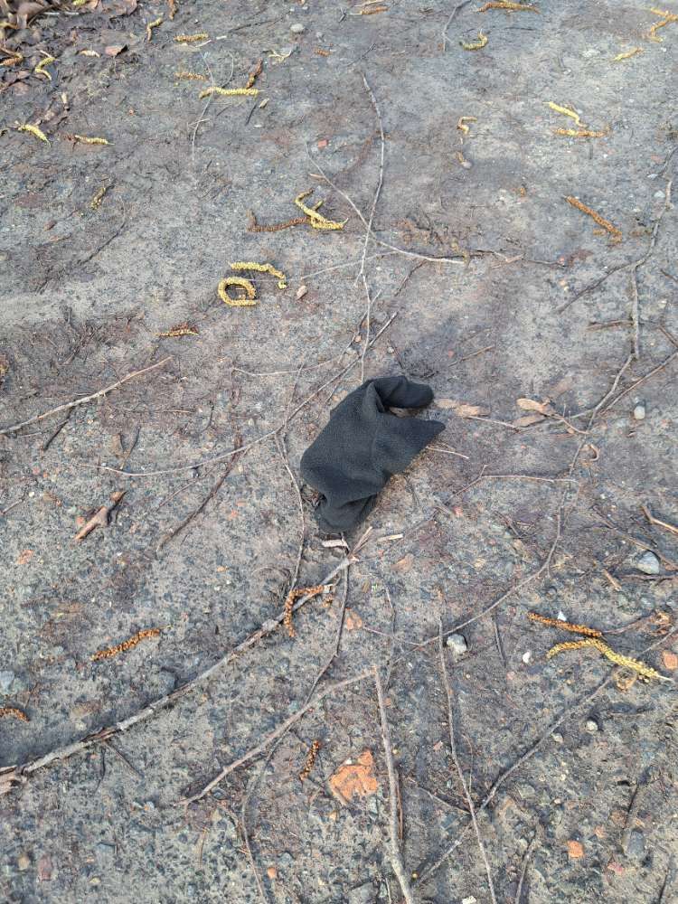 black glove found on 1 Mar 2026