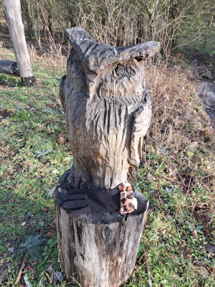 other glove found on 1 Mar 2026