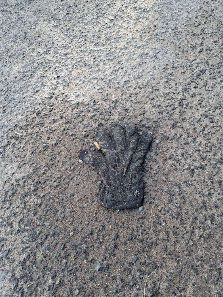 grey glove found on 1 Mar 2026