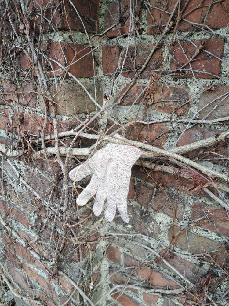 silver glove found on 1 Mar 2026