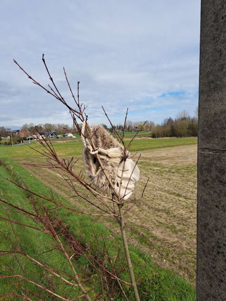 other glove found on 1 Mar 2026