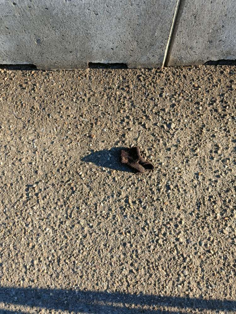 black glove found on 2 Mar 2026