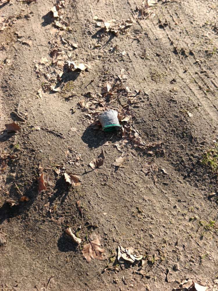 grey glove found on 2 Mar 2026