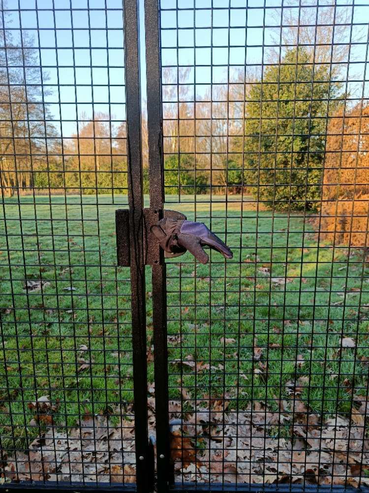 blue glove found on 3 Mar 2026