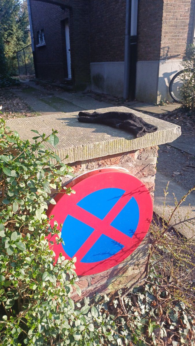 black glove found on 3 Mar 2026