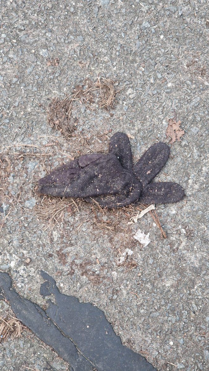 black glove found on 7 Mar 2026