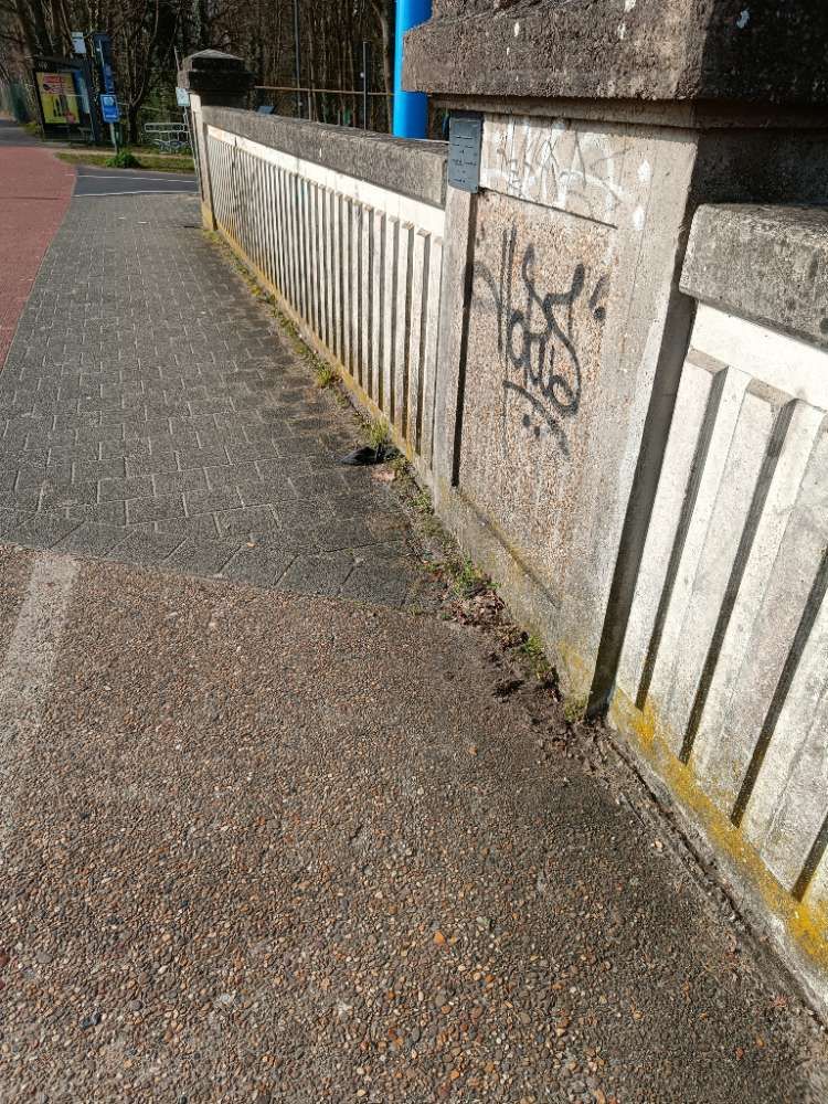grey glove found on 9 Mar 2026