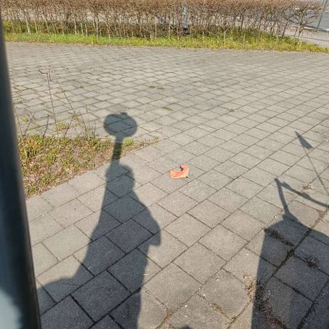 orange glove found on 9 Mar 2026