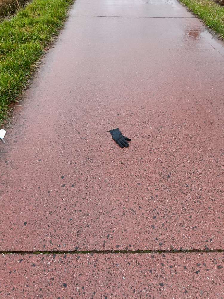 black glove found on 10 Mar 2026