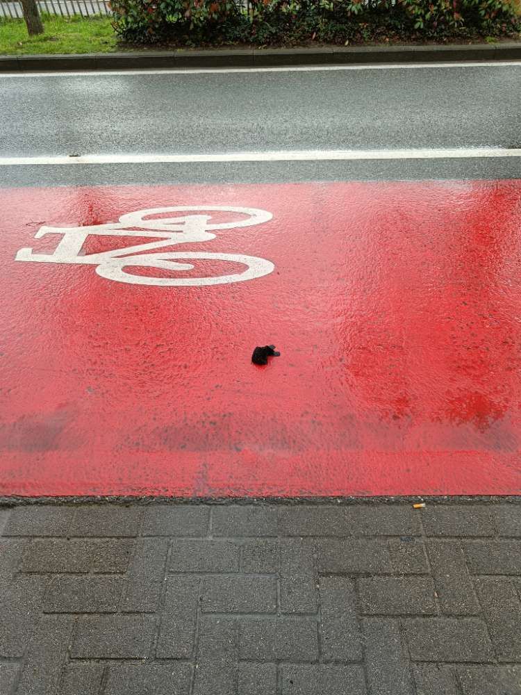 black glove found on 10 Mar 2026