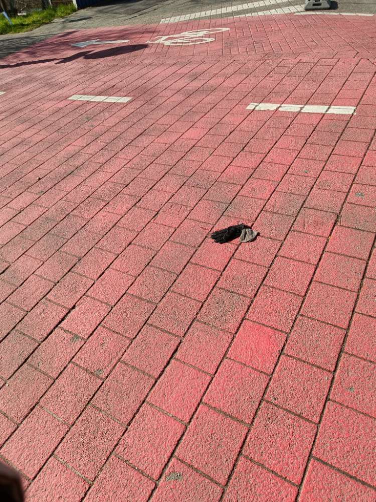 black glove found on 12 Mar 2026