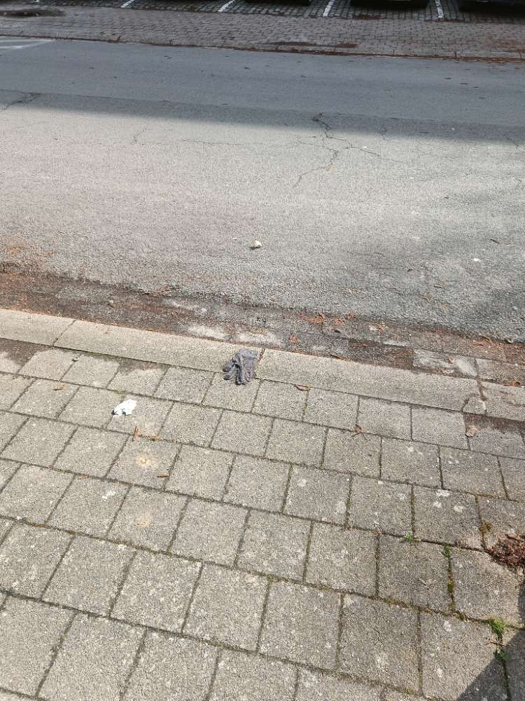grey glove found on 12 Mar 2026