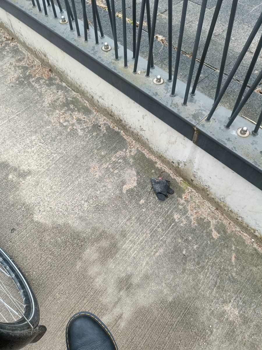 black glove found on 13 Mar 2026