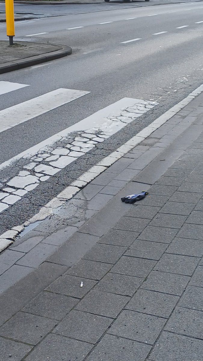 single glove found on 14 Mar 2026