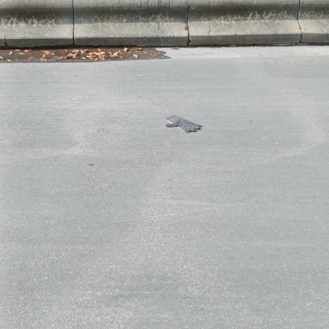 grey glove found on 16 Mar 2026