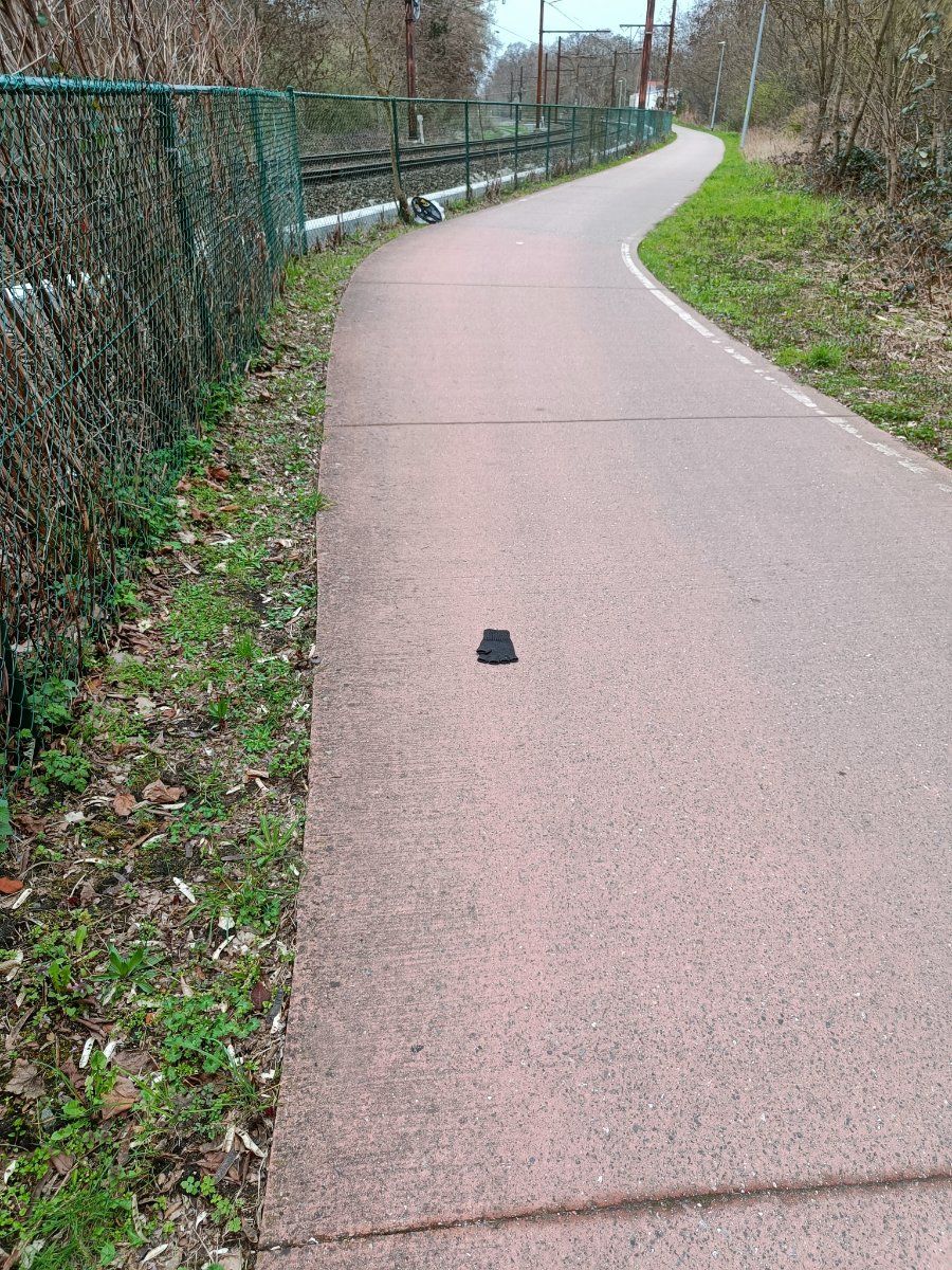 black glove found on 17 Mar 2026