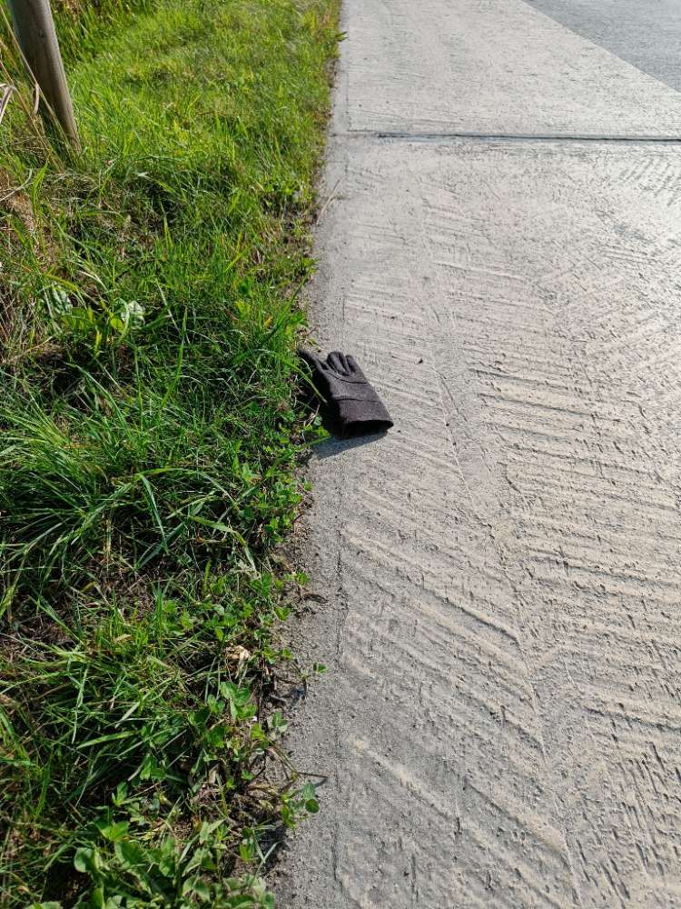 black glove found on 17 Mar 2026