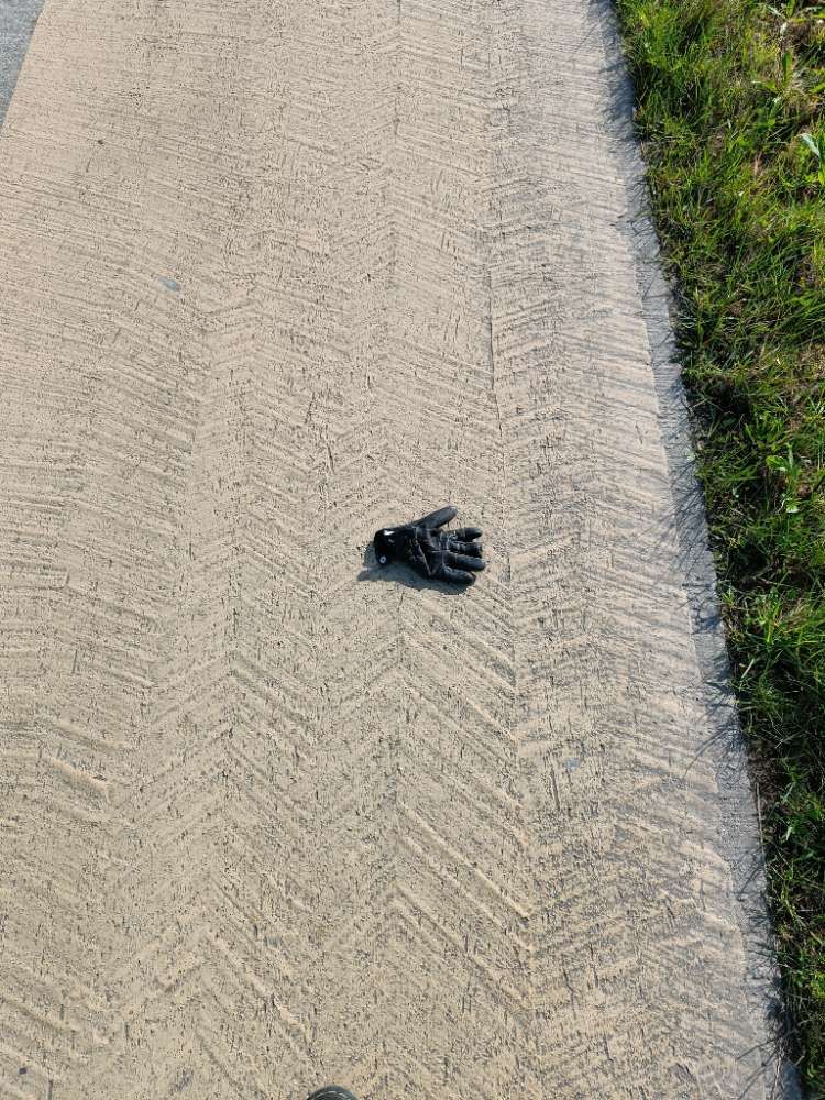 black glove found on 17 Mar 2026