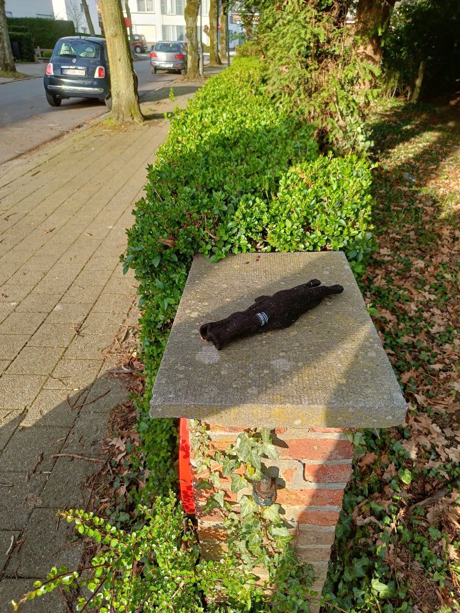 black glove found on 17 Mar 2026
