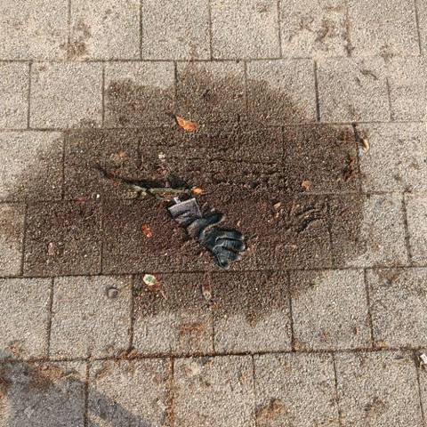 black glove found on 17 Mar 2026