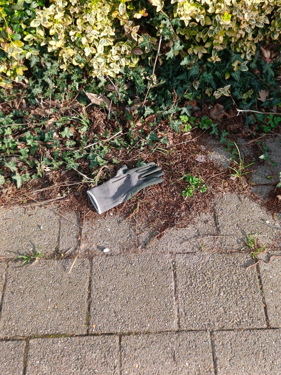 grey glove found on 17 Mar 2026