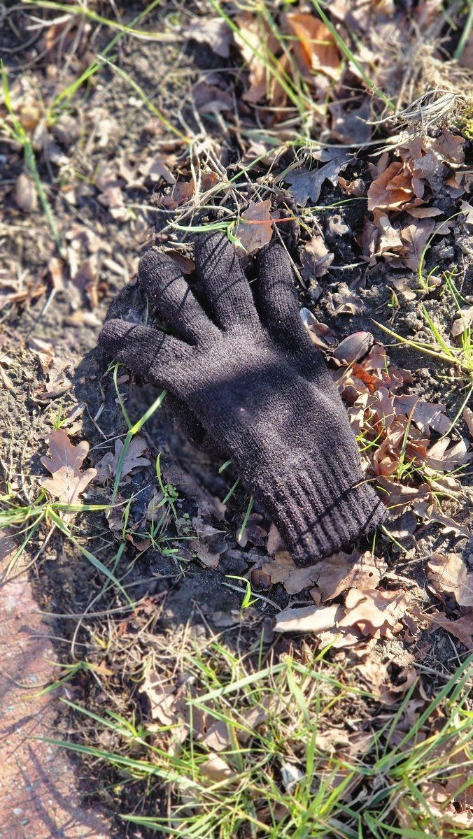 black glove found on 18 Mar 2026