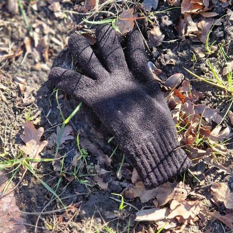black glove found on 18 Mar 2026