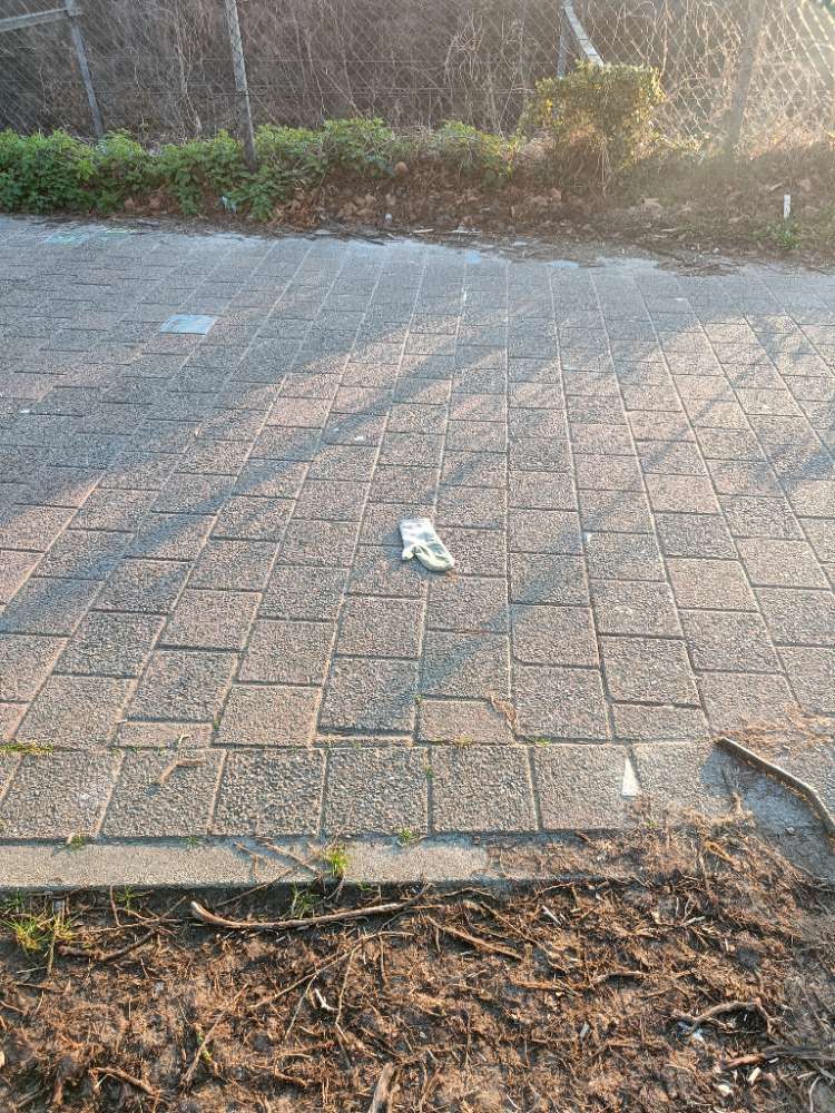 white glove found on 19 Mar 2026