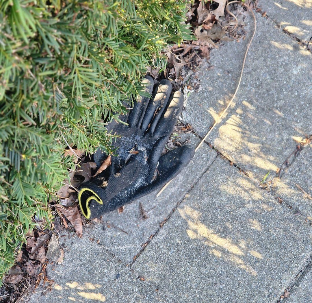 black glove found on 19 Mar 2026