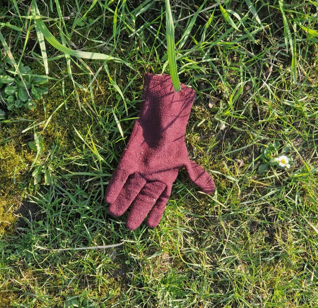 red glove found on 19 Mar 2026