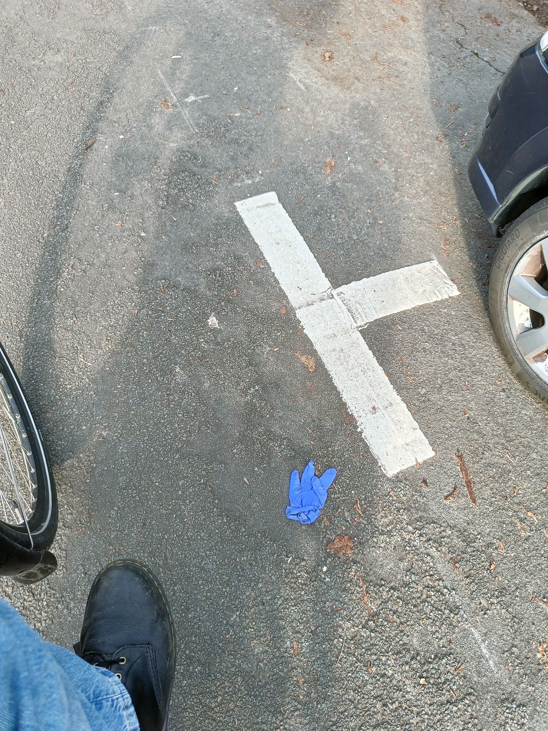 blue glove found on 5 Feb 2026