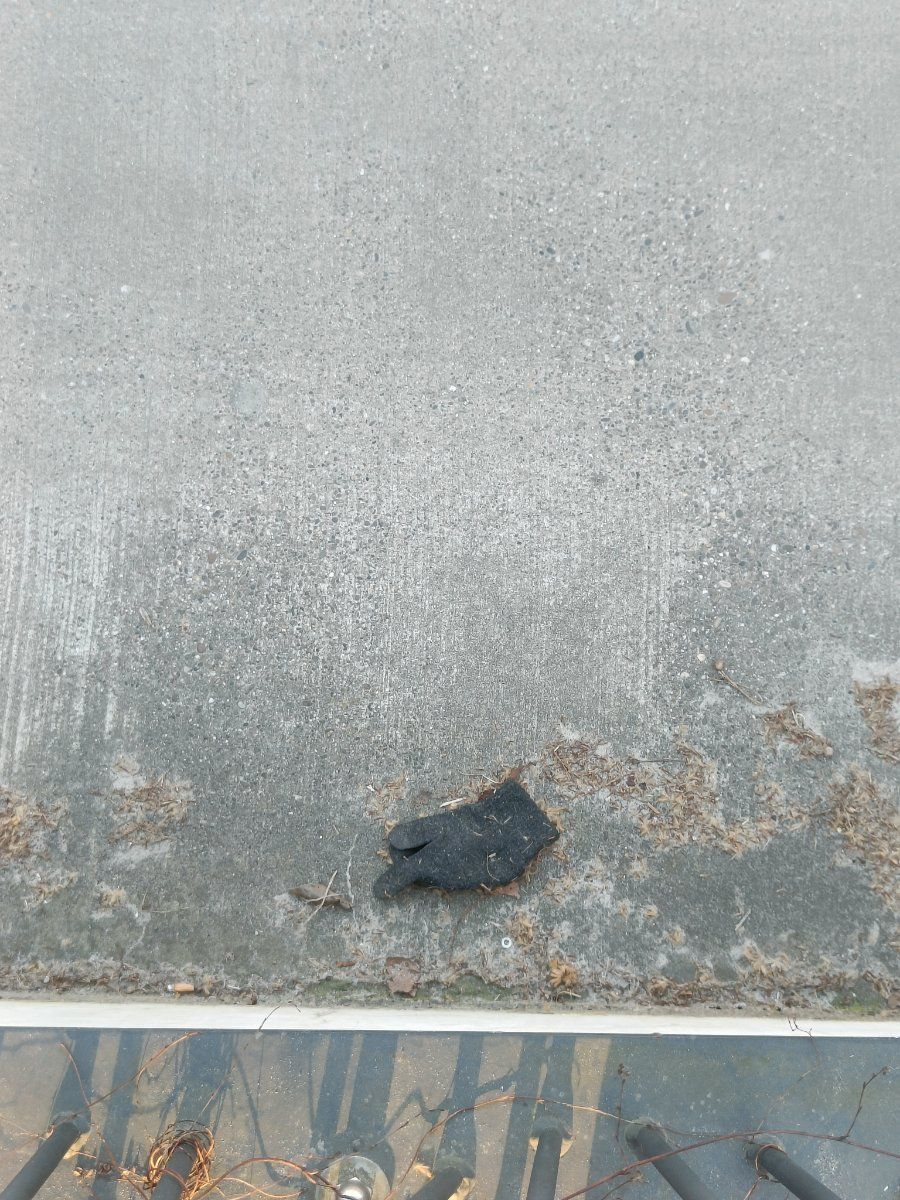 black glove found on 20 Mar 2026