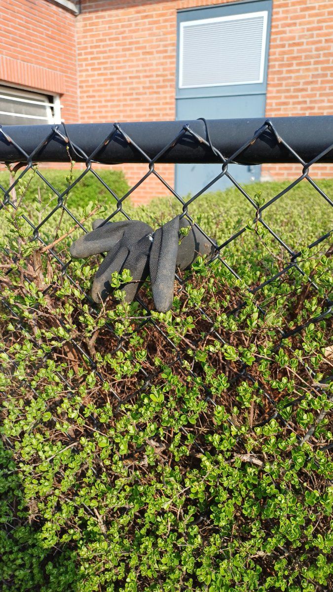 black glove found on 21 Mar 2026