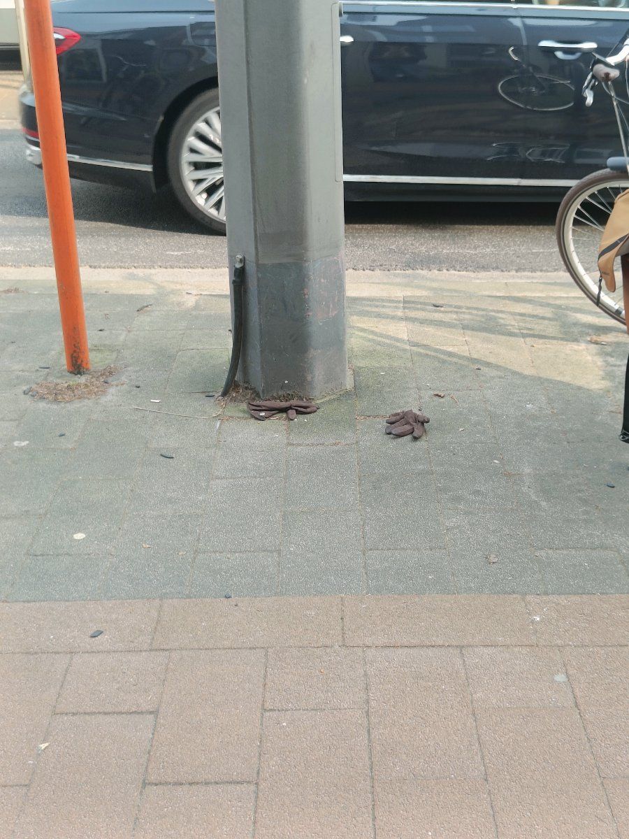brown glove found on 23 Mar 2026
