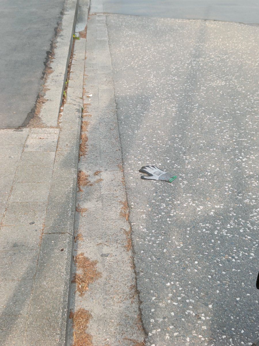 grey glove found on 23 Mar 2026