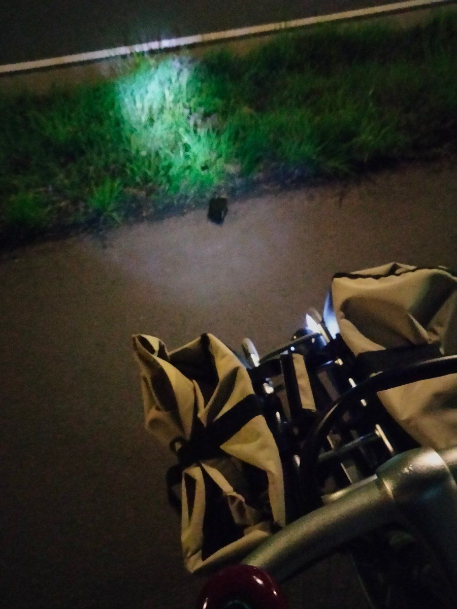 black glove found on 23 Mar 2026
