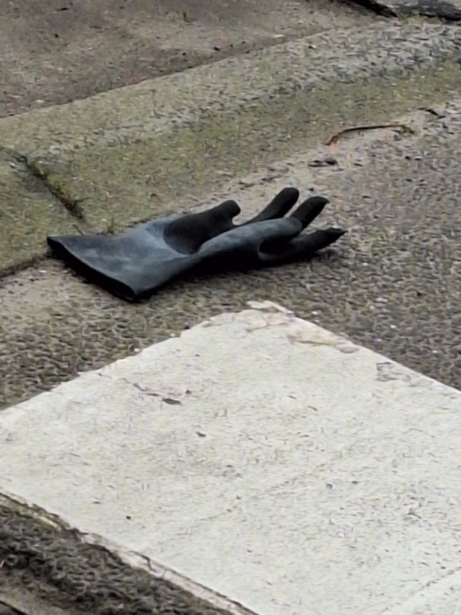 black glove found on 24 Mar 2026