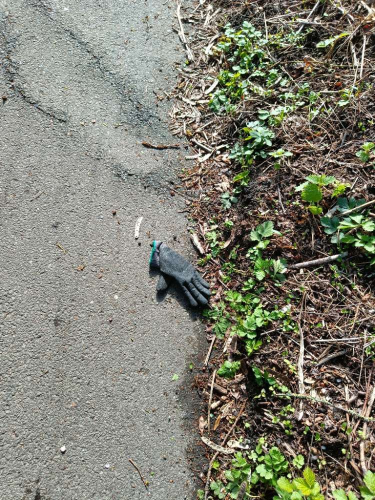 grey glove found on 30 Mar 2026