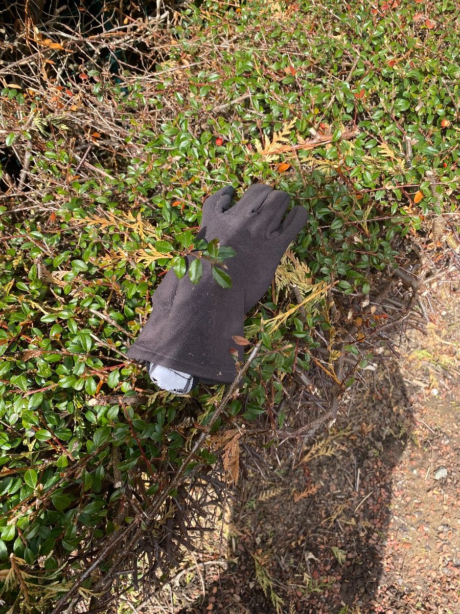 black glove found on 30 Mar 2026