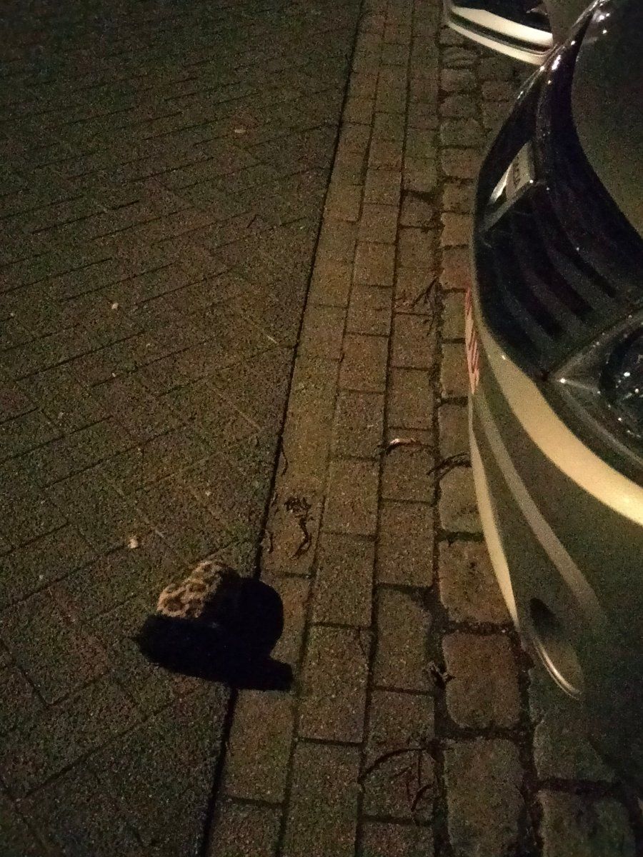 brown glove found on 30 Mar 2026