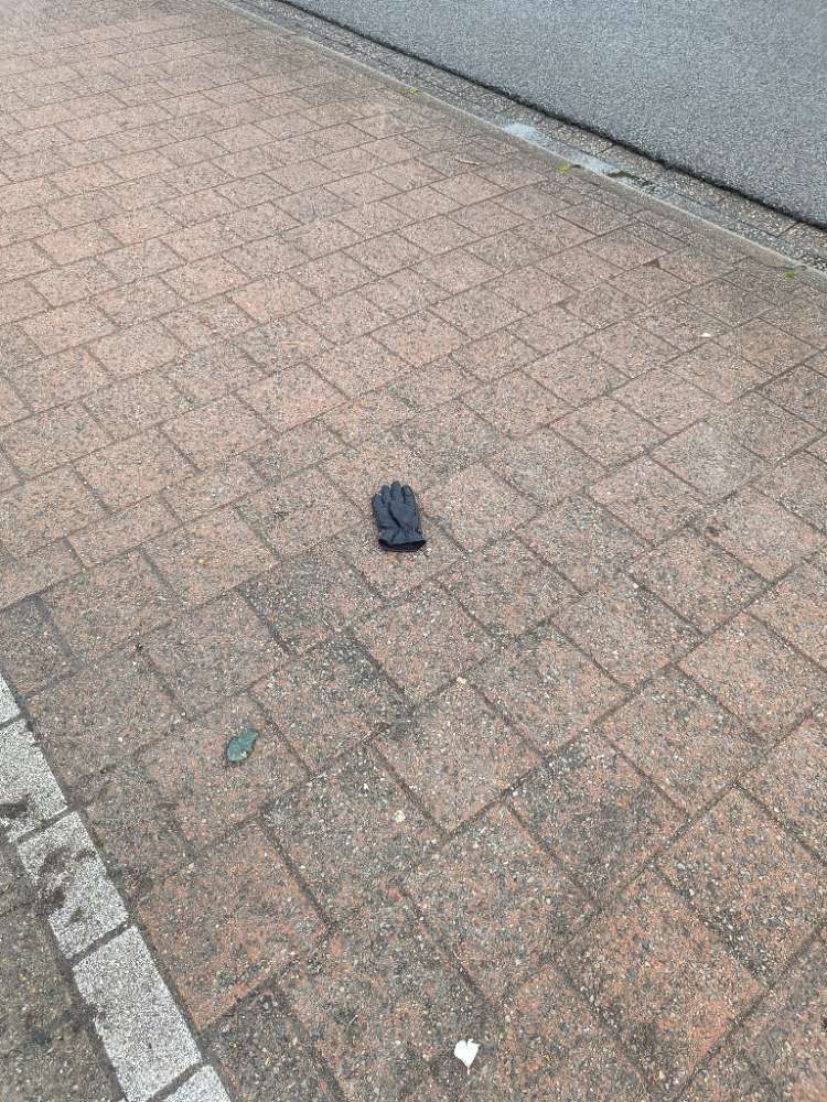 black glove found on 2 Apr 2026